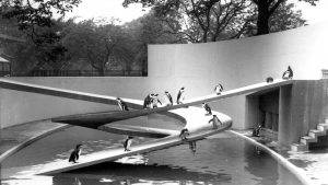 london-zoo-penguin-pool
