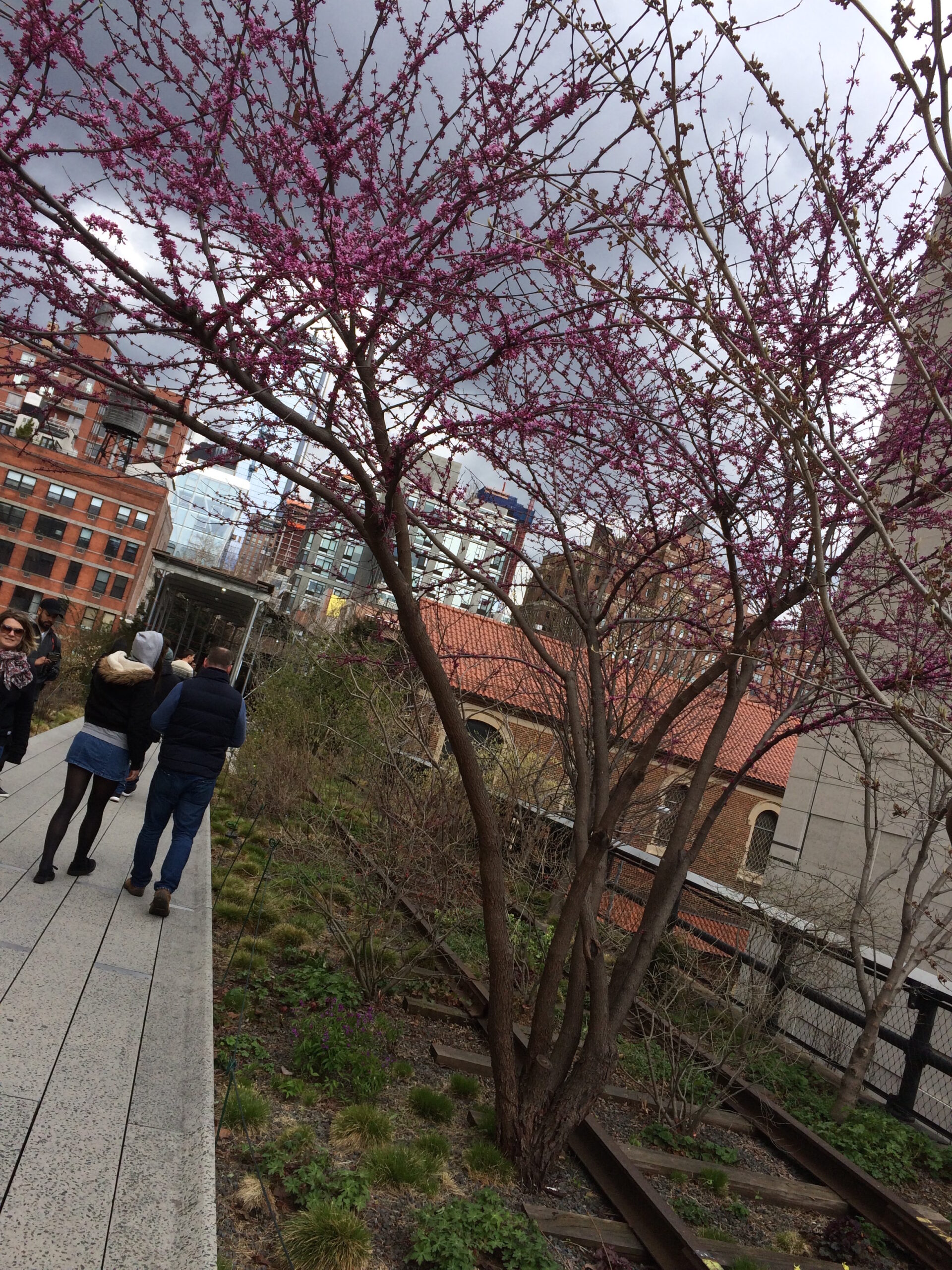 Walking by tracks - better